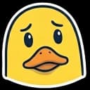 Unhappy Duck